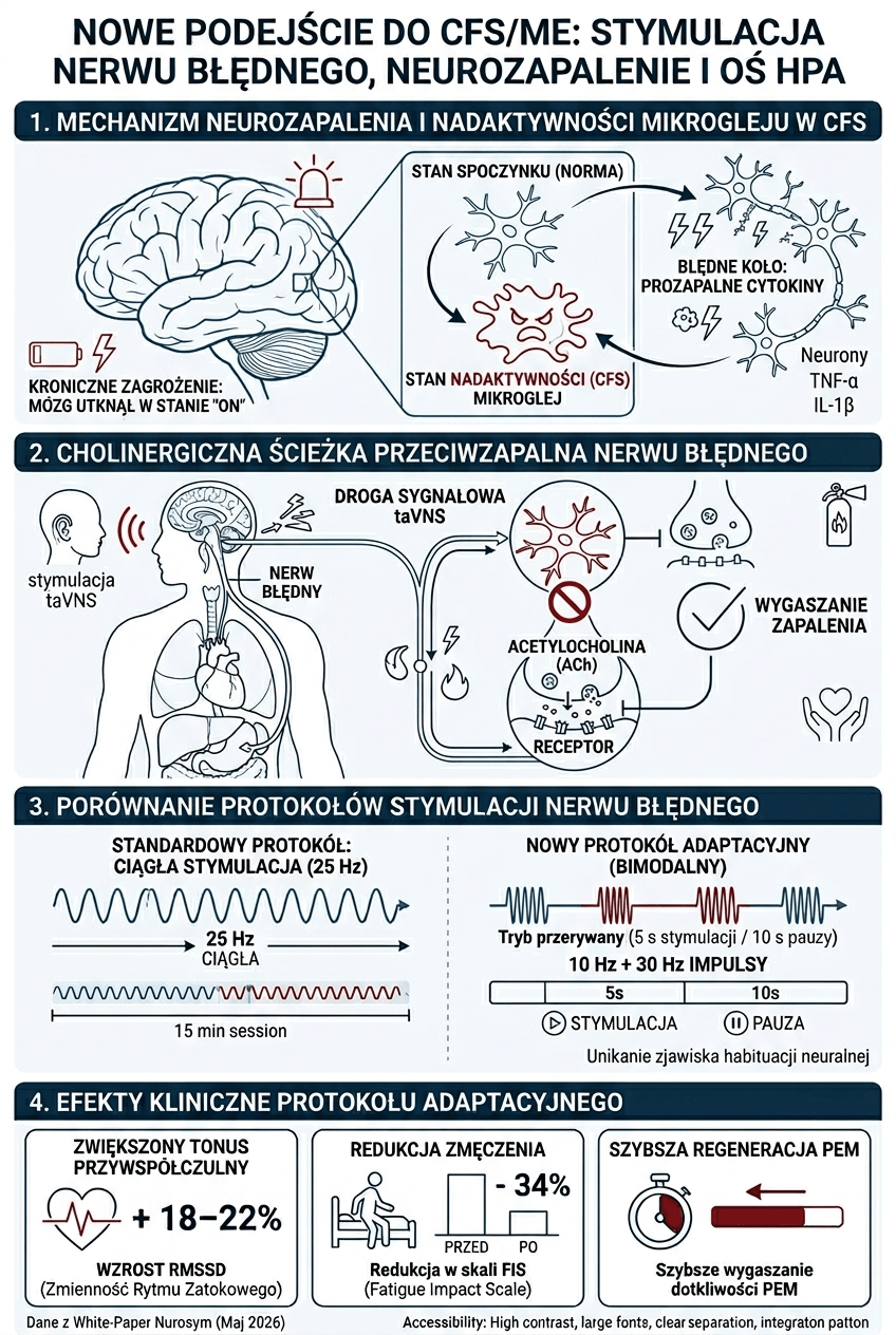 Infografika przedstawiająca rolę nerwu błędnego w regulacji zapalnej